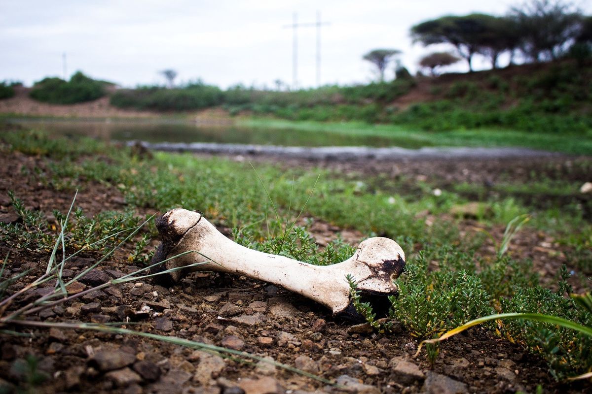 Cape Town Residents Will Soon Be Limited To 50 Liters of Water A Day